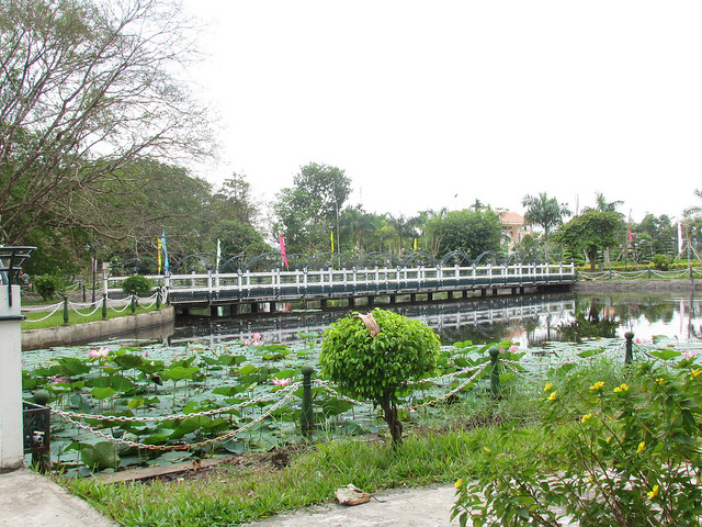 Cầu bắt qua hồ